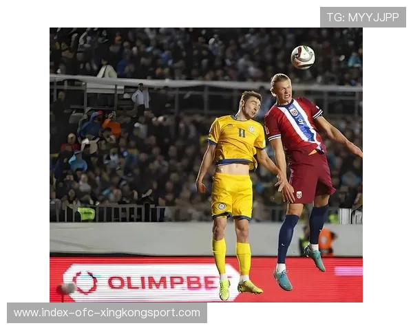 世界杯哈兰德中路强突一脚破网制胜全场欢呼